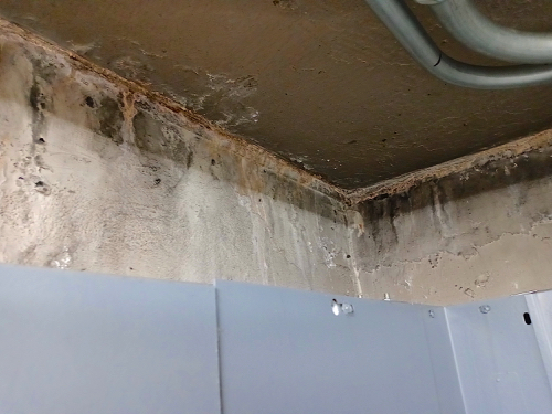 Detail of previous photo, showing evidence of moisture penetration at SW corner of machine room.